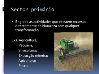Sector primárioEngloba as actividades que extraem recursos directamente da Natureza sem qualquer transformação.Exs: Agricultura;        Pecuária;        Silvicultura;        Extracção mineira;        Apicultura;         Pesca.