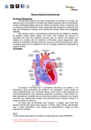 Ilustração - Coração: Licença sob Domínio Púlbico.
http://commons.wikimedia.org/wiki/File:Diagram_of_the_human_heart_(cropped)_pt.svg
Resumo Sistema Cardiovascular
Os Vasos Sanguíneos
Há dois tipos básicos de vasos sanguíneos: as artérias e as veias. As
artérias saem do coração em direção aos tecidos celulares vão se ramificando,
a cada ramificação destes vasos seu calibre vai ficando menor, a ponto de que
no limite dos tecidos teremos vasos sanguíneos tão pequenos e estreitos que
eles são formados por apenas uma camada de células, estes são os capilares
arteriais.
Nos tecidos ocorre a troca gasosa, grande parte do oxigênio é retirado
do sangue arterial pelas células, em troca, CO2 (dióxido de carbono) é
exocitado por elas nos capilares venosos que ao saírem dos tecidos em
direção ao coração vão se fundindo e formando vasos sanguíneos mais
calibrosos chamados vênulas, estas por sua vez unem-se formando as veias.
O sangue pobre em O2 (oxigênio) e rico em CO2(gás carbônico) é chamado de
sangue venoso.
O Coração
O coração é formado por 4 cavidades, dois átrios (um direito e um
esquerdo) e dois ventrículos (um direito e um esquerdo), o átrio direito se
comunicadiretamente com ventrículo direito, assim como o átrio esquerdo se
comunicadiretamente com ventrículo esquerdo, no entanto, o lado direito e o
lado esquerdo do coração não se comunicam devido a presença de um septo
muscular que impede este contato, não permitindo que o sangue arterial e o
sangue venoso se misturem.
Os átrios são as cavidades que recebem o sangue seja vindo dos
tecidos através das veias cavas superior e inferior (lado direito), seja através
das 4 veias pulmonares, cujo sangue sai dospulmões e chega ao átrio
esquerdo do coração.
DICA:
"Todo sangue que chega ao coração é transportado por veias, SEMPRE".
 