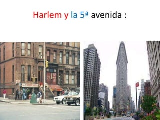 Harlem y la 5ª avenida :
 