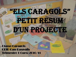 “ELS CARAGOLS”Petitresumd’unprojecte ClasseCaragols CEIP Can Raspalls Trimestre 1 Curs: 2010/11 