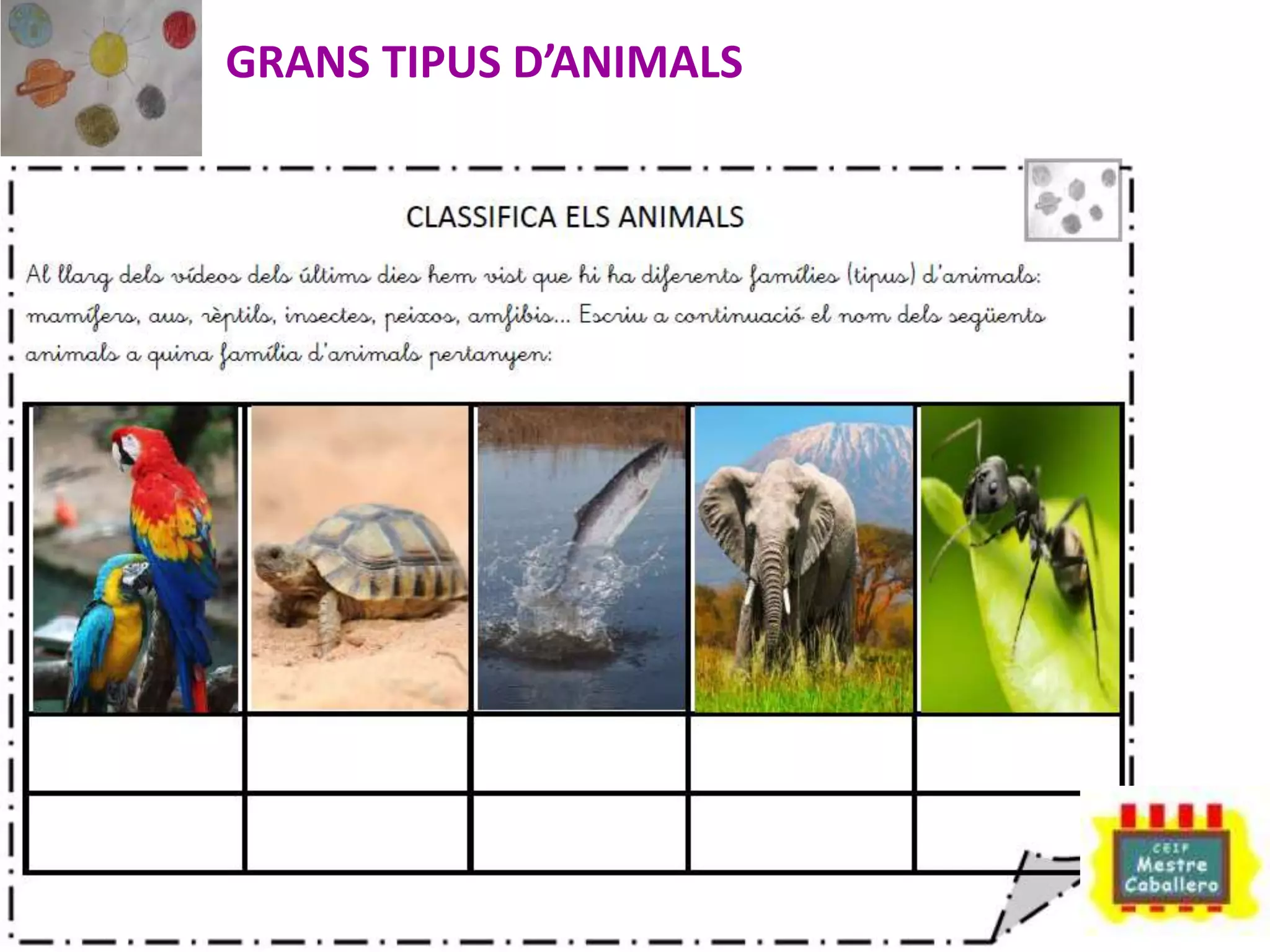 GRANS TIPUS D’ANIMALS
 