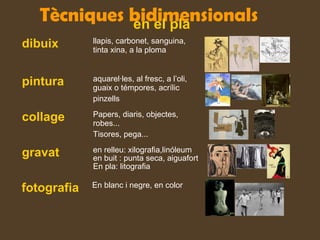 Tècniques bidimensionalsen el pla
dibuix llapis, carbonet, sanguina,
tinta xina, a la ploma
pintura aquarel·les, al fresc, a l’oli,
guaix o témpores, acrílic
pinzells
collage Papers, diaris, objectes,
robes...
Tisores, pega...
gravat en relleu: xilografia,linóleum
en buit : punta seca, aiguafort
En pla: litografia
fotografia En blanc i negre, en color
 
