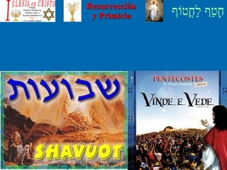 ‫וף‬ֹ‫ף‬‫חוט‬ֳ‫וט‬‫ל‬ַ‫ח‬ ‫וטף‬ַ‫ח‬‫ח‬ָResurrecciónResurrección
y Primiciay Primicia
 