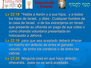 ‫וף‬ֹ‫ף‬‫חוט‬ֳ‫וט‬‫ל‬ַ‫ח‬ ‫וטף‬ַ‫ח‬‫ח‬ָResurrecciónResurrección
y Primiciay Primicia
Lv 22:18Lv 22:18 Habla a Aarón y a sus hijos, y a todosHabla a Aarón y a sus hijos, y a todos
los hijos de Israel, y diles: Cualquier hombre delos hijos de Israel, y diles: Cualquier hombre de
la casa de Israel, o de los extranjeros en Israel,la casa de Israel, o de los extranjeros en Israel,
que presente su ofrenda en pago de sus votos oque presente su ofrenda en pago de sus votos o
como ofrenda voluntaria presentada encomo ofrenda voluntaria presentada en
holocausto a Jehová,holocausto a Jehová,
Lv 22:19Lv 22:19 para que sea aceptado deberá ofrecerpara que sea aceptado deberá ofrecer
un macho sin defecto de entre el ganadoun macho sin defecto de entre el ganado
vacuno, de entre losvacuno, de entre los corderoscorderos o de entre laso de entre las
cabras.cabras.
Lv 22:20Lv 22:20 Ninguna cosa en que haya defectoNinguna cosa en que haya defecto
ofreceréis, pues no os será aceptado.ofreceréis, pues no os será aceptado.
 