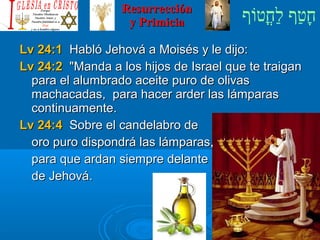‫וף‬ֹ‫ף‬‫חוט‬ֳ‫וט‬‫ל‬ַ‫ח‬ ‫וטף‬ַ‫ח‬‫ח‬ָResurrecciónResurrección
y Primiciay Primicia
Lv 24:1Lv 24:1 Habló Jehová a Moisés y le dijo:Habló Jehová a Moisés y le dijo:
Lv 24:2Lv 24:2 Manda a los hijos de Israel que te traiganManda a los hijos de Israel que te traigan
para el alumbradopara el alumbrado aceite puroaceite puro de olivasde olivas
machacadas, para hacer arder las lámparasmachacadas, para hacer arder las lámparas
continuamente.continuamente.
Lv 24:4Lv 24:4 Sobre el candelabro deSobre el candelabro de
oro puro dispondrá las lámparas,oro puro dispondrá las lámparas,
para que ardan siempre delantepara que ardan siempre delante
de Jehová.de Jehová.
 