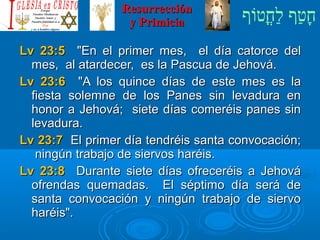 ‫וף‬ֹ‫ף‬‫חוט‬ֳ‫וט‬‫ל‬ַ‫ח‬ ‫וטף‬ַ‫ח‬‫ח‬ָResurrecciónResurrección
y Primiciay Primicia
Lv 23:5Lv 23:5 En el primer mes, el día catorce delEn el primer mes, el día catorce del
mes, al atardecer, es la Pascua de Jehová.mes, al atardecer, es la Pascua de Jehová.
Lv 23:6Lv 23:6 A los quince días de este mes es laA los quince días de este mes es la
fiesta solemne de los Panes sin levadura enfiesta solemne de los Panes sin levadura en
honor a Jehová; siete días comeréis panes sinhonor a Jehová; siete días comeréis panes sin
levadura.levadura.
Lv 23:7Lv 23:7 El primer día tendréis santa convocación;El primer día tendréis santa convocación;
ningún trabajo de siervos haréis.ningún trabajo de siervos haréis.
Lv 23:8Lv 23:8 Durante siete días ofreceréis a JehováDurante siete días ofreceréis a Jehová
ofrendas quemadas. El séptimo día será deofrendas quemadas. El séptimo día será de
santa convocación y ningún trabajo de siervosanta convocación y ningún trabajo de siervo
haréis.haréis.
 