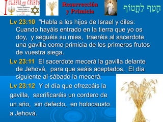 ‫וף‬ֹ‫ף‬‫חוט‬ֳ‫וט‬‫ל‬ַ‫ח‬ ‫וטף‬ַ‫ח‬‫ח‬ָResurrecciónResurrección
y Primiciay Primicia
Lv 23:10Lv 23:10 Habla a los hijos de Israel y diles:Habla a los hijos de Israel y diles:
Cuando hayáis entrado en la tierra que yo osCuando hayáis entrado en la tierra que yo os
doy, y seguéis su mies, traeréis al sacerdotedoy, y seguéis su mies, traeréis al sacerdote
una gavilla como primicia de los primeros frutosuna gavilla como primicia de los primeros frutos
de vuestra siega.de vuestra siega.
Lv 23:11Lv 23:11 El sacerdote mecerá la gavilla delanteEl sacerdote mecerá la gavilla delante
de Jehová, para que seáis aceptados. El díade Jehová, para que seáis aceptados. El día
siguiente al sábado la mecerá.siguiente al sábado la mecerá.
Lv 23:12Lv 23:12 Y el día que ofrezcáis laY el día que ofrezcáis la
gavilla, sacrificaréis un cordero degavilla, sacrificaréis un cordero de
un año, sin defecto, en holocaustoun año, sin defecto, en holocausto
a Jehová.a Jehová.
 