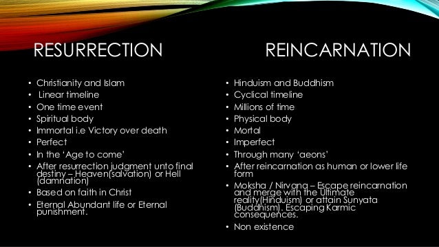 is reincarnation real essay is reincarnation real essay