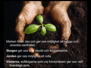 Marken föder oss och ger oss möjlighet att bygga och
utveckla samhället.
Skogen ger oss bl.a. skydd och byggmaterial.
Jorden ger oss möjlighet att odla
Växterna, solfångarna som via fotosyntesen ger oss vårt
livsviktiga syre.
 