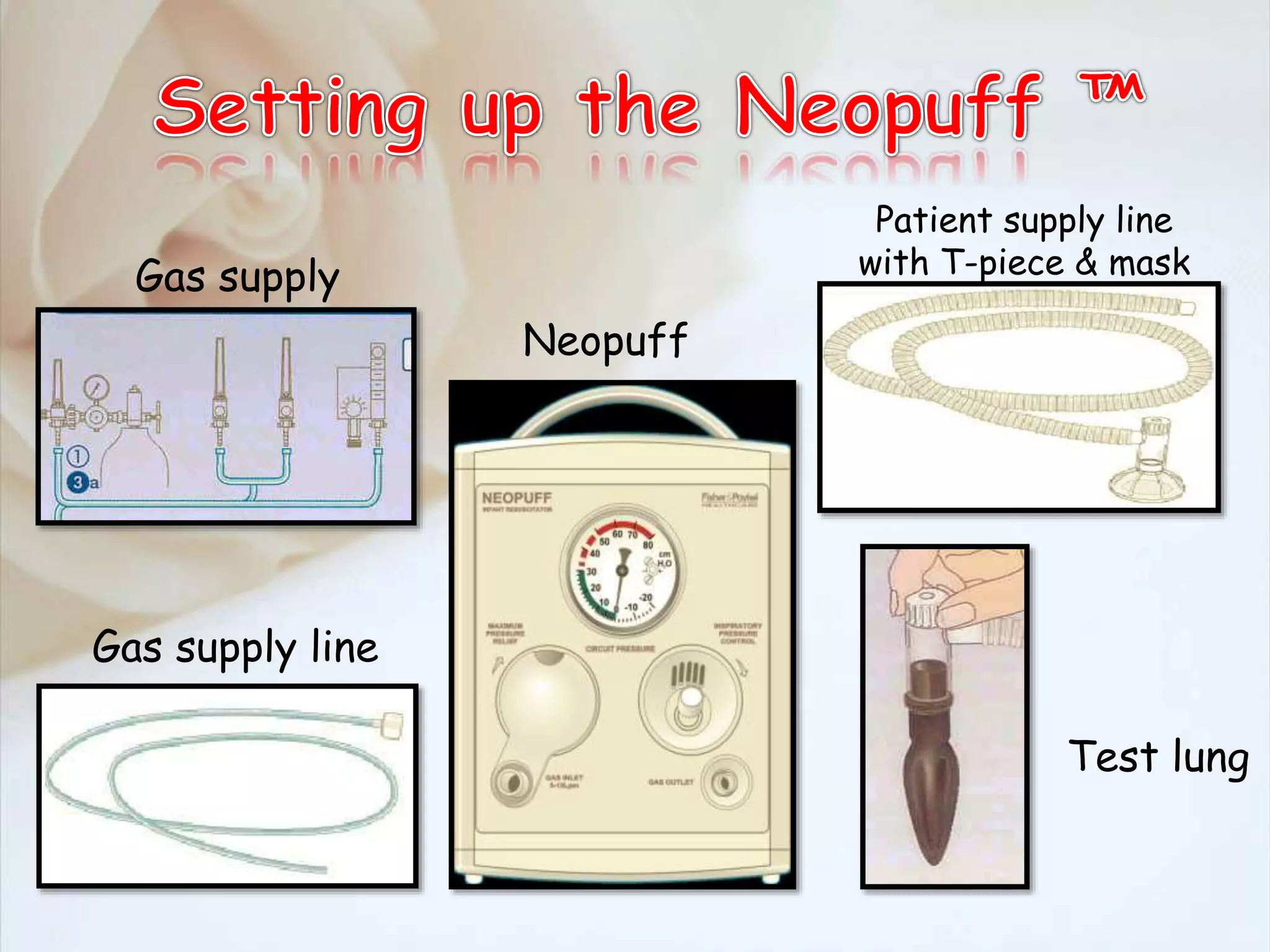 Gas supply
Gas supply line
Test lung
Patient supply line
with T-piece & mask
Neopuff
 