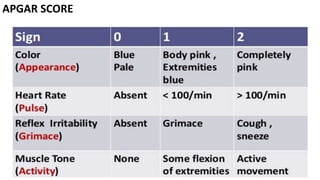 Resuscitation and immediate care of newborn | PPTX