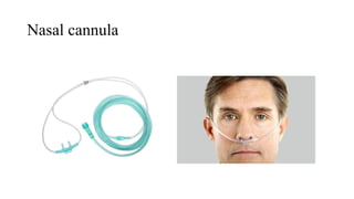 Nasal cannula
 