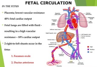 FETAL CIRCULATION
IN THE FETUS
 Placenta; lowest vascular resistance –
40% fetal cardiac output
 Fetal lungs are filled with fluid -
resulting in a high vascular
resistance – 10% cardiac output
 2 right-to-left shunts occur in the
fetus
1. Foramen ovale
2. Ductus arteriosus
 