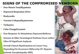 SIGNS OF THE COMPROMISED NEWBORN
 Poor Muscle Tone/HypotoniaPoor Muscle Tone/Hypotonia
 Depressed Respiratory DriveDepressed Respiratory Drive
 BradycardiaBradycardia
 Vascular Collapse/HypotensionVascular Collapse/Hypotension
 TachypneaTachypnea
 Color Change/CyanosisColor Change/Cyanosis
 Poor Response To Stimulation; Depressed Reflexes
 Seizures & Other Neurological Problems Occur within 1st
12hrs Of Significant Asphyxia
 Overall Clinical Manifestations & Course Vary,
Depending On Occurrence Of/Severity Of Hypoxic-
Ischemic Encephalopathy (HIE)
 