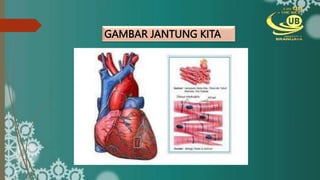 GAMBAR JANTUNG KITA