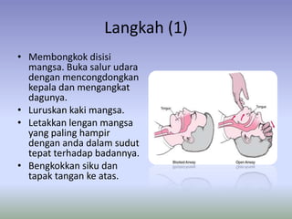 Langkah (1)
• Membongkok disisi
  mangsa. Buka salur udara
  dengan mencongdongkan
  kepala dan mengangkat
  dagunya.
• Luruskan kaki mangsa.
• Letakkan lengan mangsa
  yang paling hampir
  dengan anda dalam sudut
  tepat terhadap badannya.
• Bengkokkan siku dan
  tapak tangan ke atas.
 