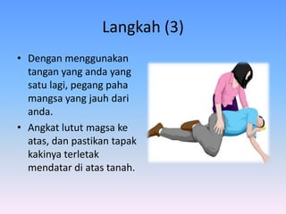 Langkah (3)
• Dengan menggunakan
  tangan yang anda yang
  satu lagi, pegang paha
  mangsa yang jauh dari
  anda.
• Angkat lutut magsa ke
  atas, dan pastikan tapak
  kakinya terletak
  mendatar di atas tanah.
 