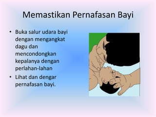 Memastikan Pernafasan Bayi
• Buka salur udara bayi
  dengan mengangkat
  dagu dan
  mencondongkan
  kepalanya dengan
  perlahan-lahan
• Lihat dan dengar
  pernafasan bayi.
 