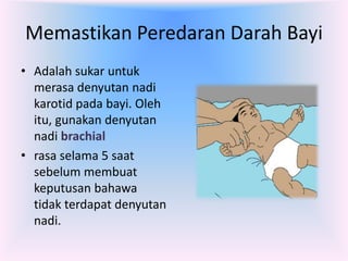 Memastikan Peredaran Darah Bayi
• Adalah sukar untuk
  merasa denyutan nadi
  karotid pada bayi. Oleh
  itu, gunakan denyutan
  nadi brachial
• rasa selama 5 saat
  sebelum membuat
  keputusan bahawa
  tidak terdapat denyutan
  nadi.
 