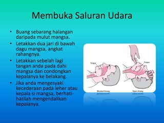 Membuka Saluran Udara
• Buang sebarang halangan
  daripada mulut mangsa.
• Letakkan dua jari di bawah
  dagu mangsa, angkat
  rahangnya.
• Letakkan sebelah lagi
  tangan anda pada dahi
  mangsa dan condongkan
  kepalanya ke belakang.
• Jika anda mengesyaki
  kecederaan pada leher atau
  kepala si mangsa, berhati-
  hatilah mengendalikan
  kepalanya.
 