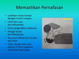 Memastikan Pernafasan
• Letakkan muka hampir
  dengan mulut mangsa.
• Lihat dan rasa
  pernafasannya.
• Lihat pergerakkan dadanya.
• Dengar bunyi
  pernafasannya.
• Rasa pernafasannya ke atas
  pipi anda.
• Lihat, dengar dan rasa
  selama 5 minit sebelum
  membuat keputusan.
 