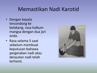Memastikan Nadi Karotid
• Dengan kepala
  tercondong ke
  belakang, rasa halkum
  mangsa dengan dua jari
  anda.
• Rasa selama 5 saat
  sebelum membuat
  keputusan bahawa
  pergerakan nadi atau
  denyutan nadi telah
  terhenti.
 