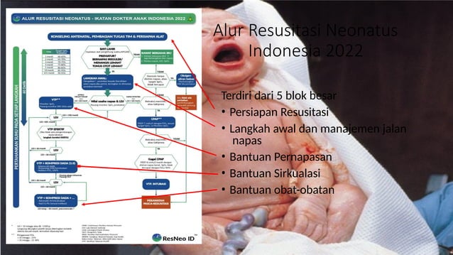 Resusitasi Neonatus Indonesia Versi IDAI 2022 | PPTX