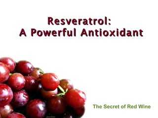 Resveratrol: A Powerful Antioxidant The Secret of Red Wine 