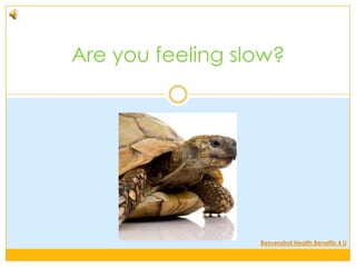 Are you feeling slow? Resveratrol Health Benefits 4 U 