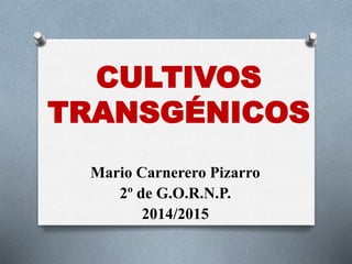 CULTIVOS
TRANSGÉNICOS
Mario Carnerero Pizarro
2º de G.O.R.N.P.
2014/2015
 