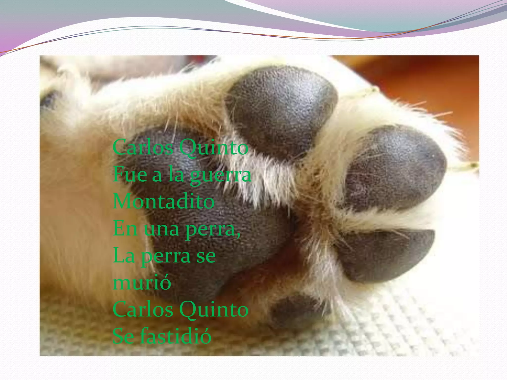 Carlos QuintoFue a la guerraMontaditoEn una perra,La perra se murió Carlos Quinto Se fastidió
