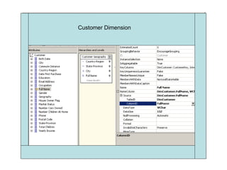Customer Dimension 