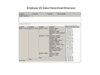 Employee VS Sales Hierarchical Dimension 