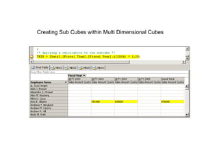 Creating Sub Cubes within Multi Dimensional Cubes 