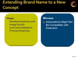 Pluses                    Minuses
 Develop Awareness and   ■ Associations Might Not
  Image Quickly             Be Compatible with
 Less Costs Needed to      Extension
  Promote Extension




                                                 Udyam ©
 