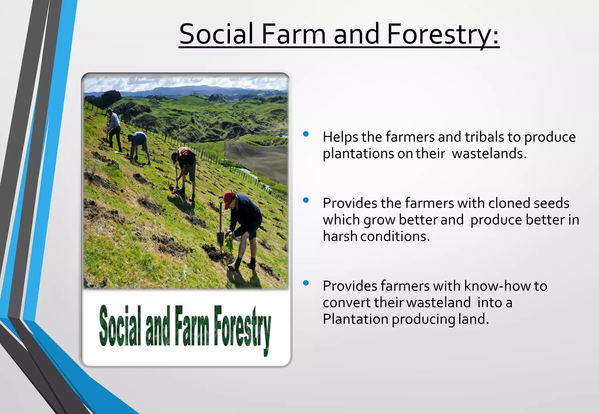 Social Farm and Forestry:
• Helps the farmers and tribals to produce
plantations ontheir wastelands.
• Provides the farmers with cloned seeds
which grow better and produce better in
harshconditions.
• Provides farmers with know-how to
convert theirwasteland into a
Plantation producingland.
 