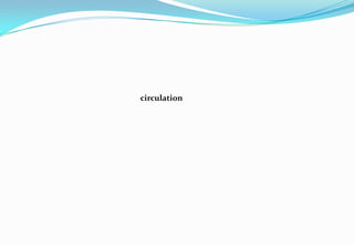 circulation
 