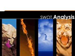 SWOT Analysis 