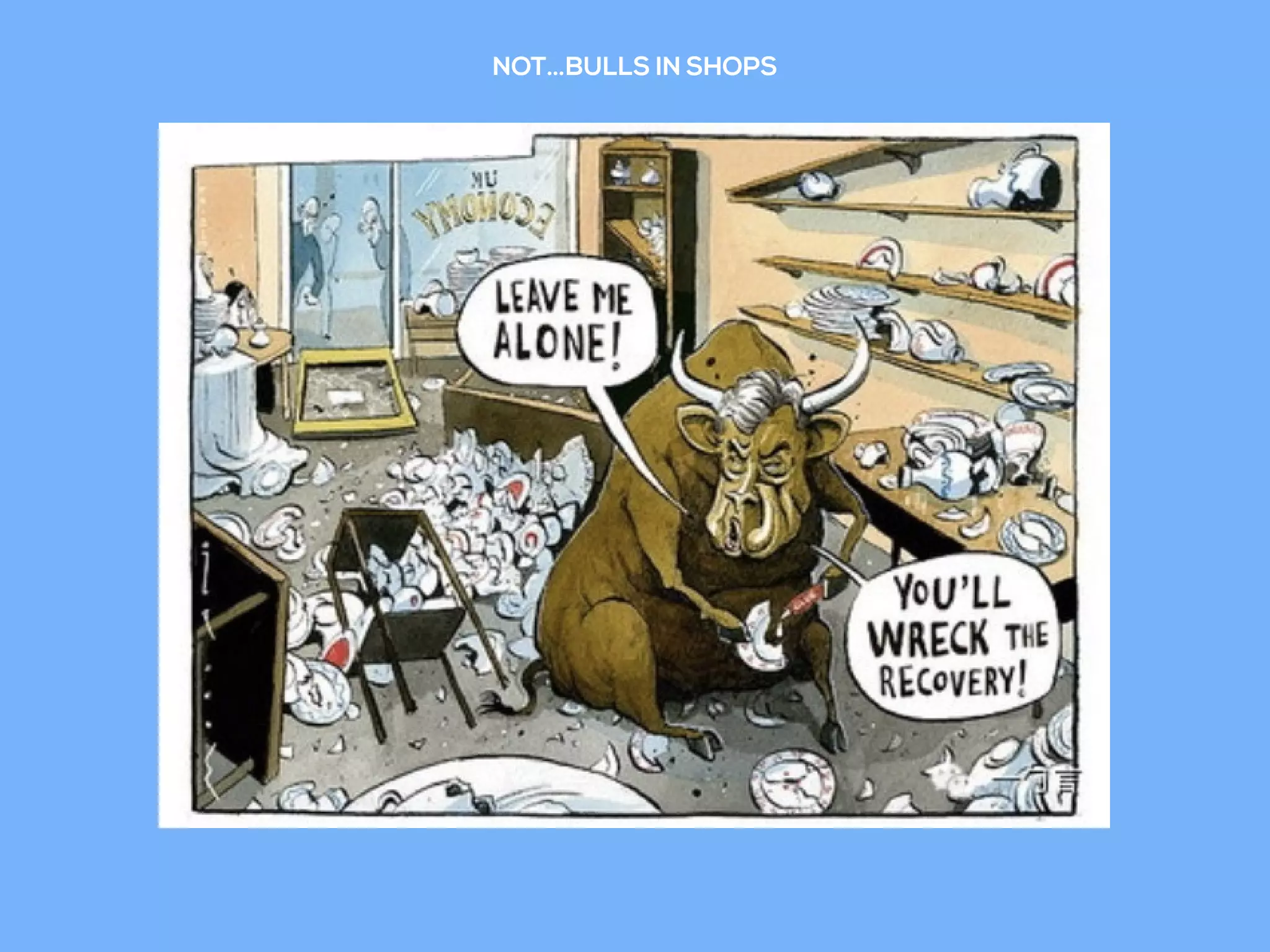 NOT…BULLS IN SHOPS
 