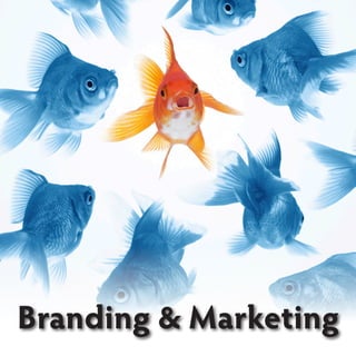 Branding & Marketing
 