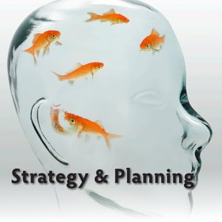 Strategy & Planning
 