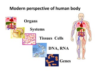 Systems
Tissues Cells
DNA, RNA
Genes
Organs
Modern perspective of human body
 