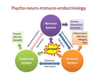 Psycho-neuro-immuno-endocrinology
 
