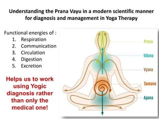 Understanding the Prana Vayu in a modern scientific manner
for diagnosis and management in Yoga Therapy
Functional energies of :
1. Respiration
2. Communication
3. Circulation
4. Digestion
5. Excretion
Helps us to work
using Yogic
diagnosis rather
than only the
medical one!
 