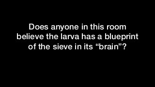 Does anyone in this room
believe the larva has a blueprint
of the sieve in its “brain”?
 