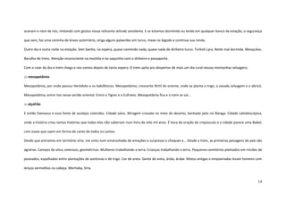14
acenam e riem de nós, imitando com gestos nossa reticente atitude sonolenta. E se estamos dormindo ou lendo em qualquer banco da estação, o segurança
que vem, faz uma ceninha de bravo autoritário, xinga alguns palavrões em turco, mexe no bigode e continua sua ronda.
Outro dia e outra noite na estação. Sem banho, na espera, quase comendo nada, quase nada de dinheiro turco. Turkish Lyra. Noite mal dormida. Mosquitos.
Barulho de trens. Atenção inconsciente na mochila e no saquinho com o dinheiro e passaporte.
Com o raiar do dia o trem chega e nos vamos depois de tanta espera. O trem apita pro despertar de mais um dia rural nessas montanhas selvagens.
::: mesopotâmia
Mesopotâmia, por onde passou Heródoto e os babilônicos. Mesopotâmia, crescente fértil do oriente, onde se planta o trigo, a cevada selvagem e o abricó.
Mesopotâmia, entre rios nesse sertão oriental. Entre o Tigres e o Eufrates. Mesopotâmia fica e o trem se vai...
::: alçafrão
E então Damasco e essa fonte de azulejos coloridos. Cidade oásis. Miragem cravada no meio do deserto, banhada pelo rio Báraga. Cidade caleidoscópica,
onde a história criou tantas histórias que todas elas não caberiam num livro de oito mil anos. É hora da oração do crepúsculo e a cidade parece uma Babel,
com vozes que saem em forma de canto de todos os cantos.
Desde que entramos em território sírio, me sinto num emaranhado de emoções e surpresas e choques e... Desde o trem, as primeiras paisagens do país são
agrárias. Campos de oliva, extensos, geométricos. Mulheres trabalhando a terra. Crianças trabalhando a terra. Pequenos cemitérios plantados em rincões de
povoados, espalhados entre plantações de azeitonas e de trigo. Cor de areia. Gente de areia, árida, árabe. Motos antigas e empoeiradas levam homens com
lenços vermelhos na cabeça. Merhaba, Síria.
 