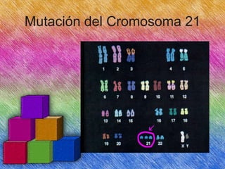 Mutación del Cromosoma 21

 