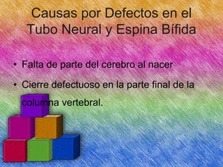 Causas por Defectos en el
Tubo Neural y Espina Bífida
• Falta de parte del cerebro al nacer
• Cierre defectuoso en la parte final de la

columna vertebral.

 