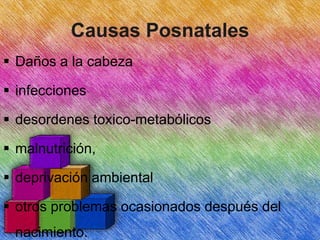 Causas Posnatales
 Daños a la cabeza

 infecciones
 desordenes toxico-metabólicos

 malnutrición,
 deprivación ambiental

 otros problemas ocasionados después del
nacimiento.

 