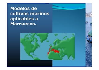 Modelos deModelos de
cultivos marinoscultivos marinos
aplicables aaplicables a
Marruecos.Marruecos.
 